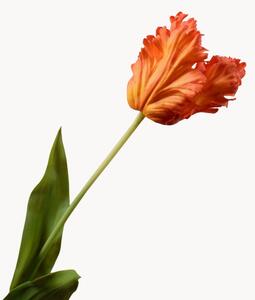 Komplet sztucznych kwiatów dekoracyjnych Tulip, 2 elem