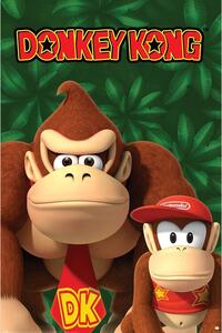 Plakat, Obraz Nintendo - Donkey Kong And Diddy Kong