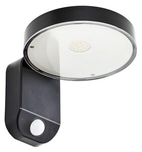Zewnętrzna Lampa PRIOS, Tarlson, czarny, taras, tworzywo sztuczne, nowoczesny