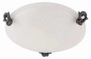 Lampa Plafon Eva 30 1X60W E27