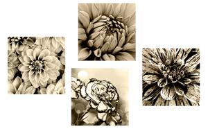 Zestaw obrazów kwiatów w kolorze sepii