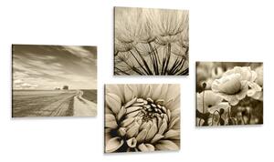 Zestaw obrazów pola z kwiatami w kolorze sepii