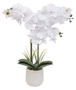 Sztuczny storczyk w doniczce RIVA, 60 cm