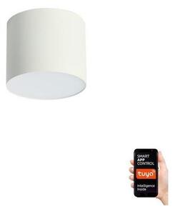 Immax Neo Immax NEO 07241L - Oświetlenie ściemnialne LED RONDATE 18W/230V 11,5cm Wi-Fi Tuya IM1318