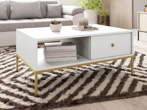 Ława do salonu Tonkor Gold TL104