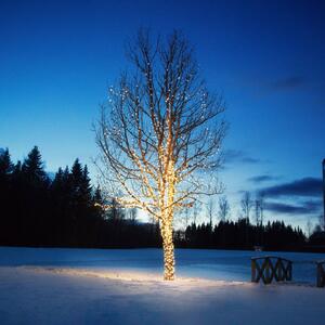 Markslöjd Łańcuch świetlny Chrissline Extra 50 LED 2,850K