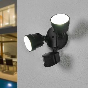 LUTEC Reflektor zewnętrzny LED Shrimp z tworzywa czujnik