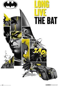 Plakat, Obraz Batman - 80th Anniversary, (61 x 91.5 cm)