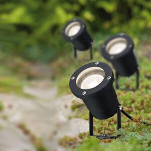 Paulmann Special Line grot ziemny LED 3 szt., GU10