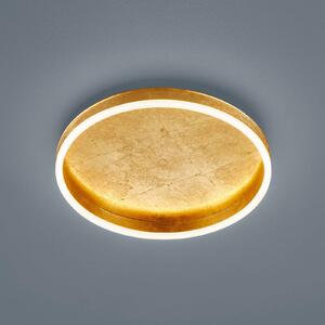 Helestra Lampa sufitowa LED Sona, możliwość ściemniania, mosiężny / złoty, przedpokój, metal, nowoczesny