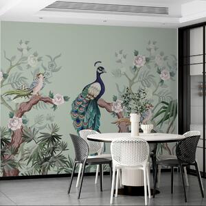 Fototapety paw na drzewie, zielone tło, Fototapety Zwierzęta, Fototapety Pawie, w08168v1 : Uwalls.pl