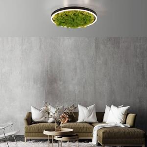 JUST LIGHT. GmbH Lampa sufitowa LED Green Ritus, ściemniany mech Ø39,3cm