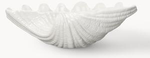 Miska do serwowania z dolomitu Shell