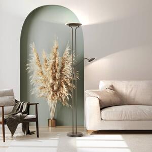 FISCHER & HONSEL Lampa stojąca LED Tallri, możliwość ściemniania, czarny, salon / jadalnia, metal, nowoczesny