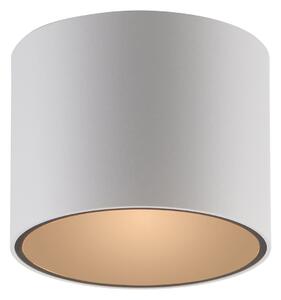 Lampa Sufitowa PURE, Point, ściemnialny, biały, łazienka, metal, nowoczesny