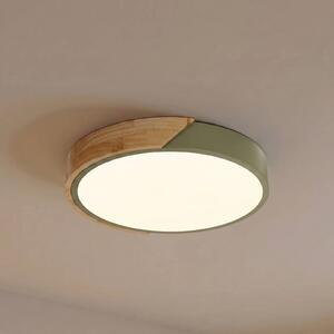 Lampa sufitowa Lynorri PRIOS, zielony, salon / jadalnia, tworzywo sztuczne, nowoczesny