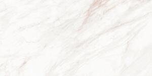 Mexen Forever Grey gres szkliwiony rekt. G1, płytka podłogowo-ścienna 120 x 60 cm, połysk - TL139-120-060-00