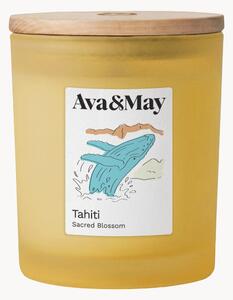 Świeca zapachowa Tahiti (monoi, wanilia tahitańska & bursztyn)