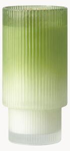 Świeca zapachowa Aramara (Iced Matcha Latte)