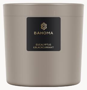 Ręcznie wykonana świeca zapachowa z trzema knotami Eucalyptus & Blackcurrant (frezja, gardenia, piżmo)