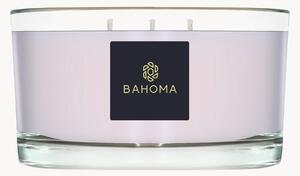 Ręcznie wykonana świeca zapachowa z trzema knotami Candle Alchemy (dziki wrzos, drewno dębowe)
