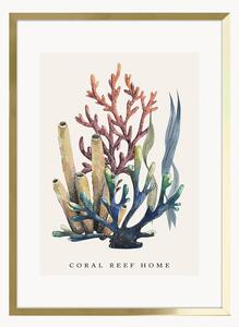 Oprawiony druk cyfrowy Coral Reef Home