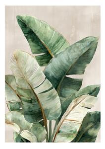 Obraz drukowany na płótnie 70x100 cm Foliage – Styler