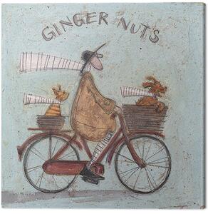 Obraz na płótnie Sam Toft - Ginger Nuts