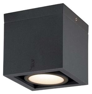 Eskina Frame Lampa Sufitowa 3000/4000K Anthracite