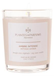 Świeca zapachowa perfumowana 75g - Intense Amber - Drogocenna Ambra