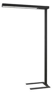 Lampa Podłogowa Arcchio, Susi, ściemnialny, czarny, gabinet | pracownia, aluminium, nowoczesny