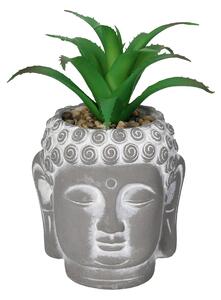 Dekoracja Aloe Buddha 17cm