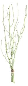 Gałązka Leszczyny 50cm light green