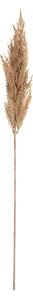 Gałązka Trawy Pampasowej 90cm beige