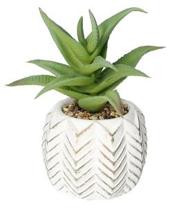 Dekoracja Aloes I 14cm
