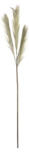 Trawa pampasowa 110cm green