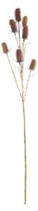 Oset Ozdobny 110cm red beige