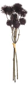 Bukiet Kraspedii 30cm deep brown