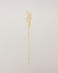 Gałązka Frostbloom ecru 80 cm