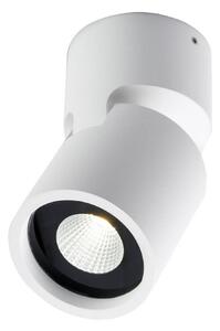 Lampa Sufitowa LIGHT-POINT, ściemnialny, biały, salon, aluminium