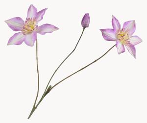 Komplet sztucznych kwiatów dekoracyjnych Clematis, 2 elem
