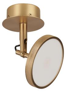 Lampa Sufitowa UMAGE, Asteria Spot, ściemnialny, złoty | mosiężny, salon, metal, design