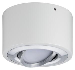 Lampa Sufitowa Paulmann, Argun, ściemnialny, biały, salon, metal, nowoczesny