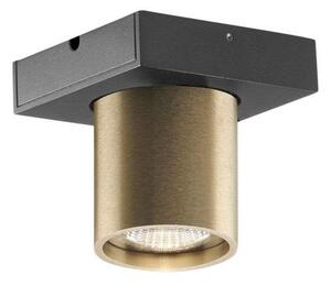 Lampa Sufitowa LIGHT-POINT, ściemnialny, złoty | mosiężny, salon, aluminium