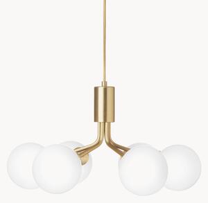 Lampa wisząca Apiales