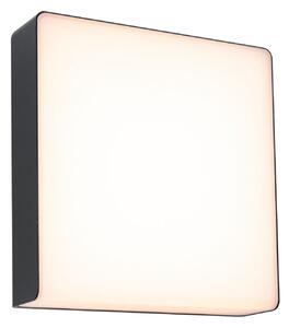 Zewnętrzna Lampa Paulmann, Azalena, czarny, aluminium