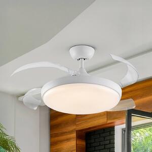 Schuller Valencia Wentylator sufitowy LED Venturi biały/przezroczysty DC, Ø 106 cm cichy Venturi, możliwość ściemniania, przezroczysty / transparentny, salon / jadalnia, metal, nowoczesny
