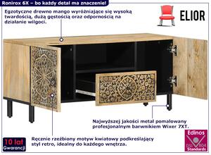 Drewniana szafka pod telewizor z szufladą i drzwiczkami - Ronirox 6X