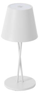 Zewnętrzna Lampa Lindby, Janea, ściemnialny, biały, taras, metal, nowoczesny
