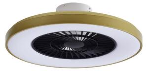 Lampa Sufitowa Lindby, Teleo, ściemnialny, złoty | mosiężny, salon, tworzywo sztuczne, nowoczesny